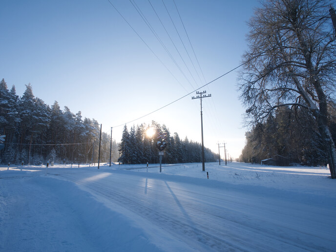 Winter in South Estonia