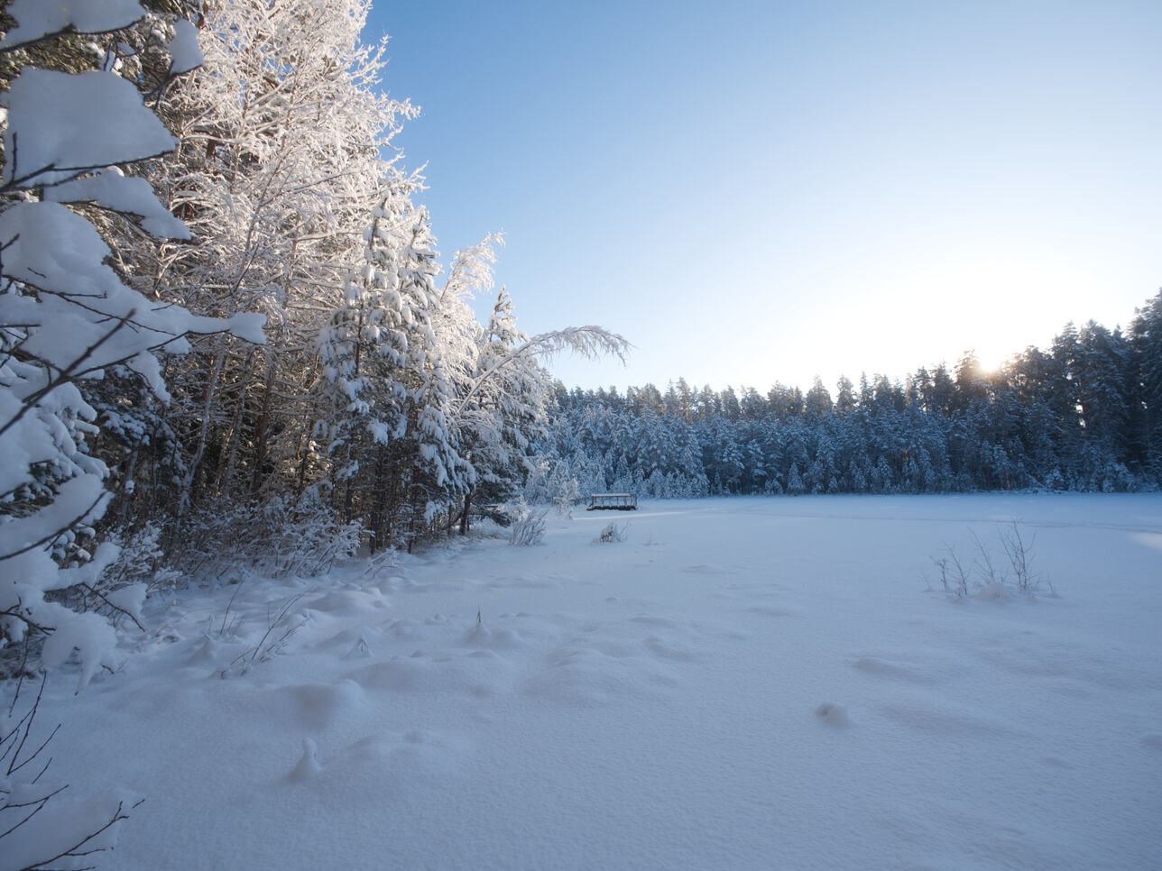 Winter in South Estonia